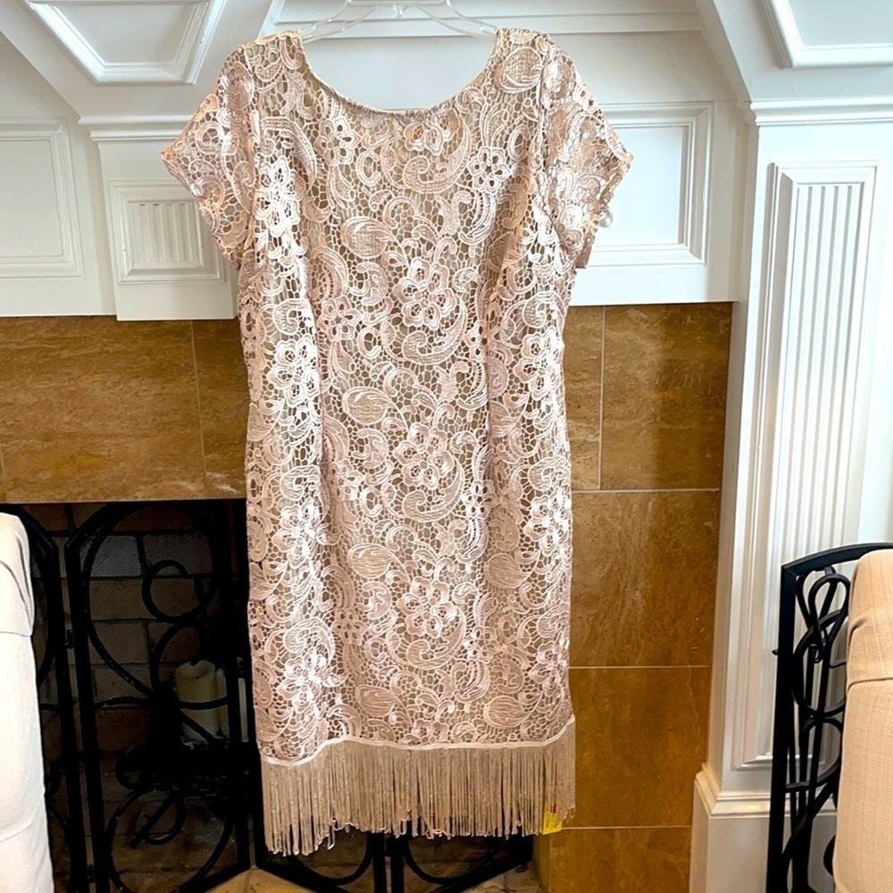 Joanna Hope Embroidered  Lace Ilusion Sheath Dress